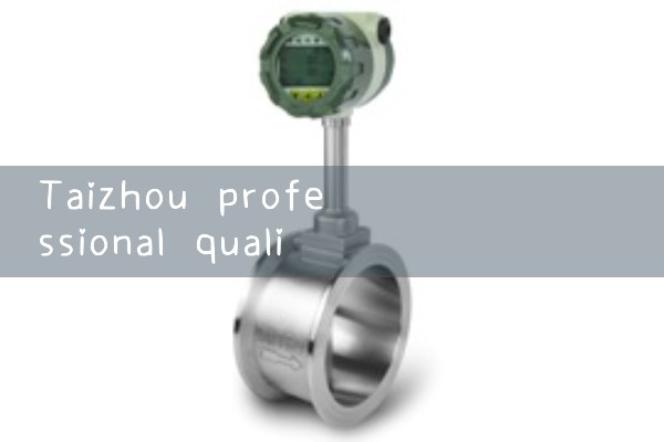 Taizhou professional quality flowmeter manufacturer